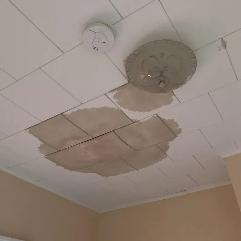 Ceiling Water Damage Repair in South Bloomfield, OH