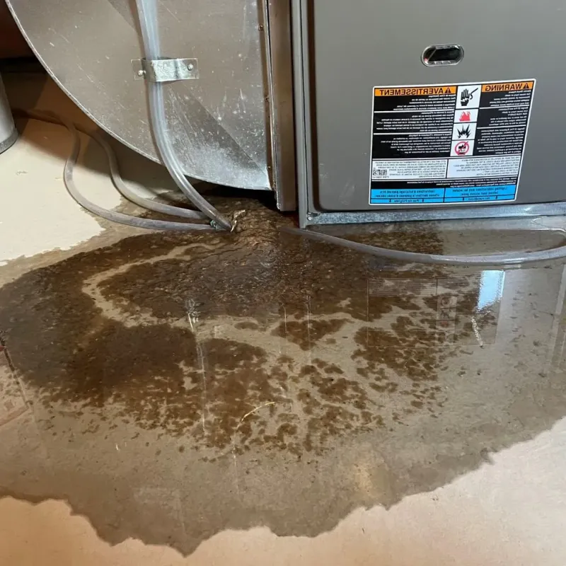 Pipe Burst and Leak Restoration in South Bloomfield, OH