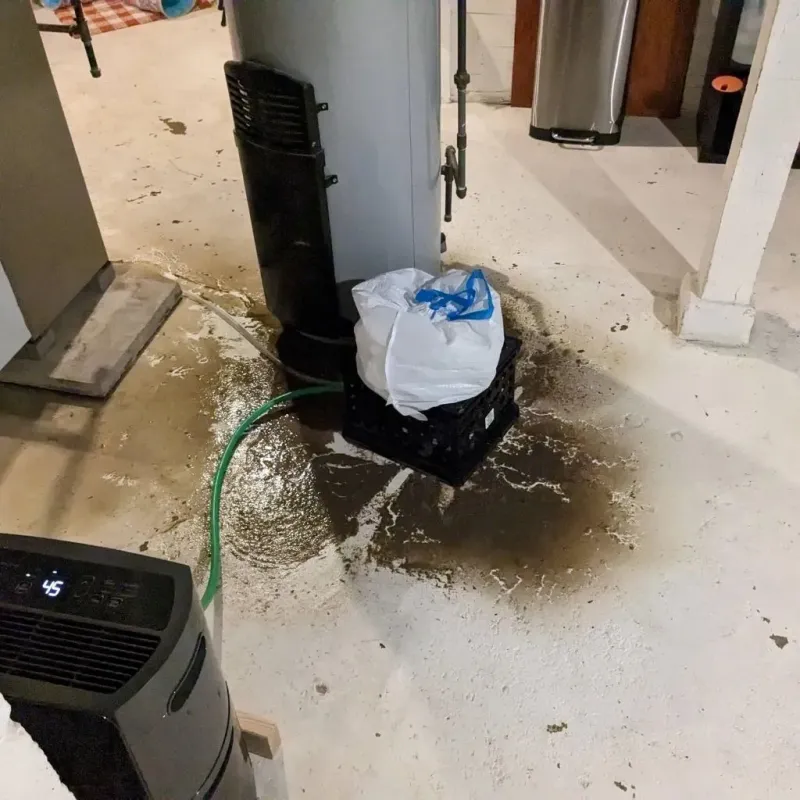 Sewage Backup Cleanup Service in South Bloomfield, OH
